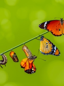 The Miracle of the New Birth